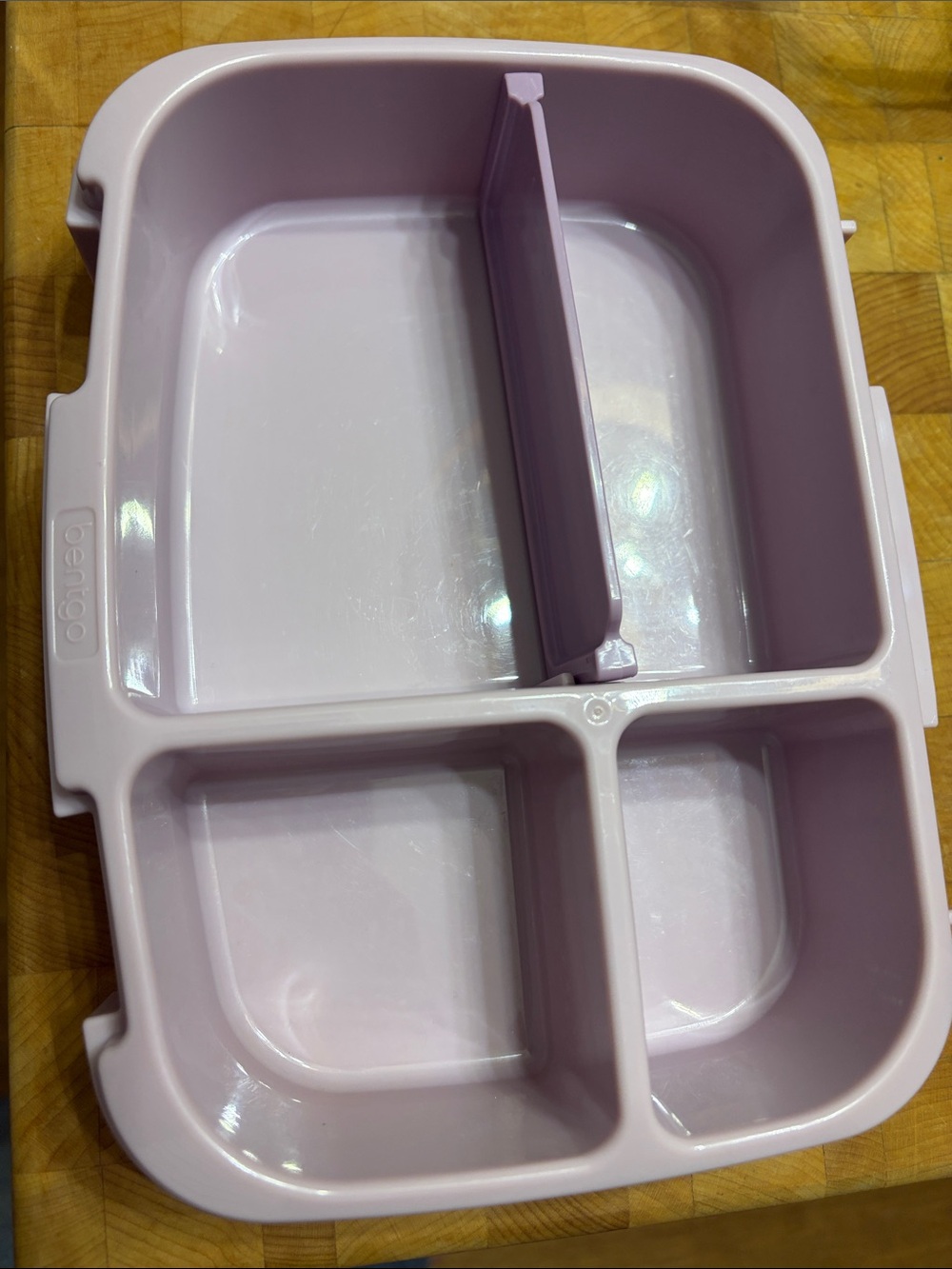 Extra insert for bentgo box light purple